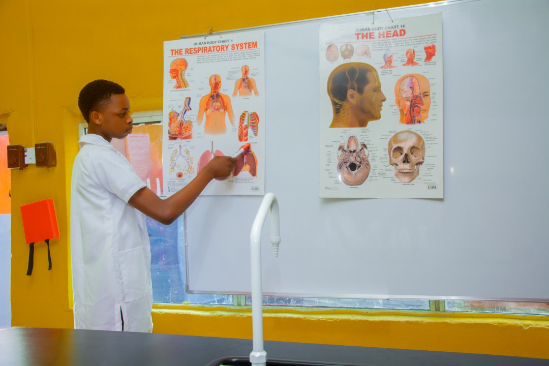 Where Knowledge Meets Opportunity!